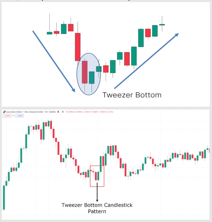 10. Tweezer Bottom Pattern